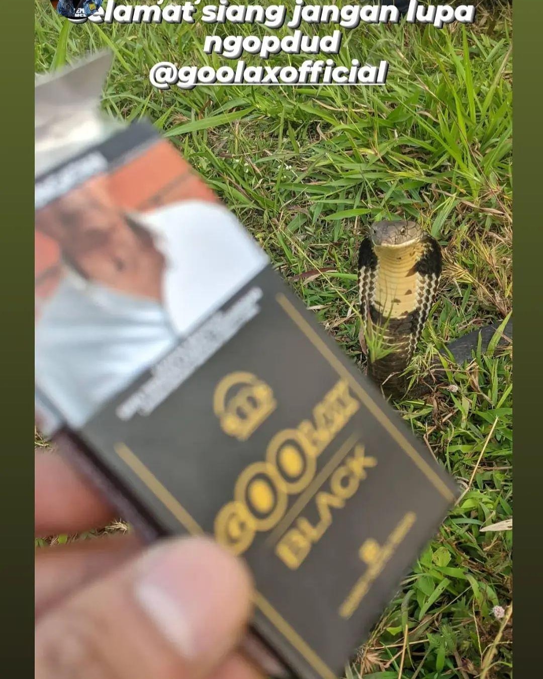 Goolax Black 6
